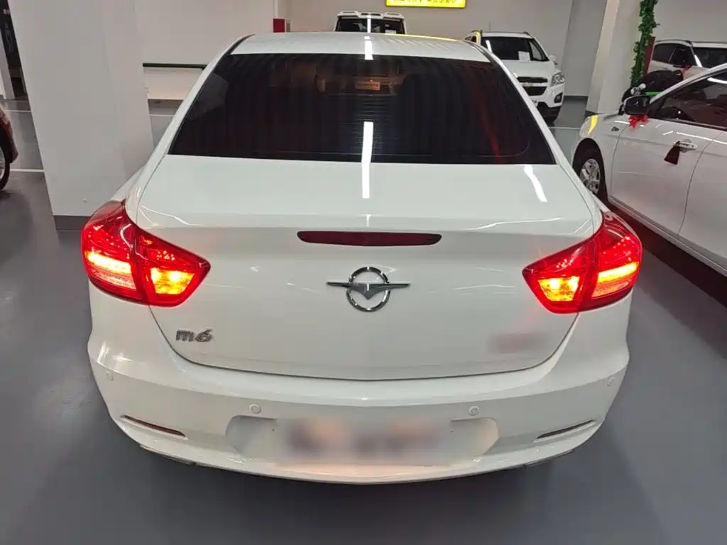 Photo 6 - Haima M6