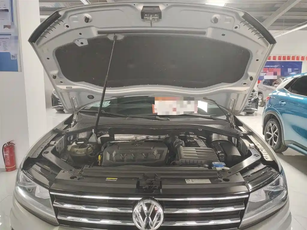 Volkswagen Tiguan L 2019 Facelift 330TSI Auto 2WD Smart Luxury China VI фото 20