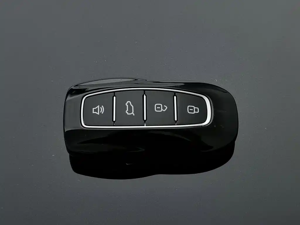 صورة 19 - Ford Territory