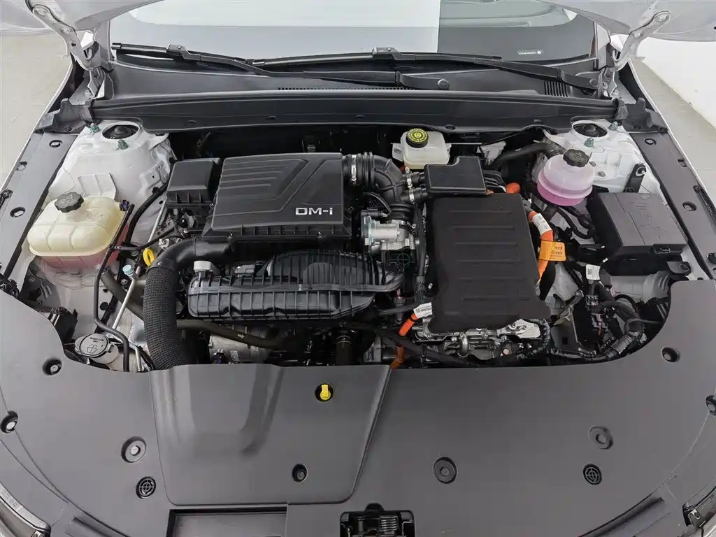 BYD Destroyer 05 2024 Glory Edition DM-i 55KM Luxury фото 6