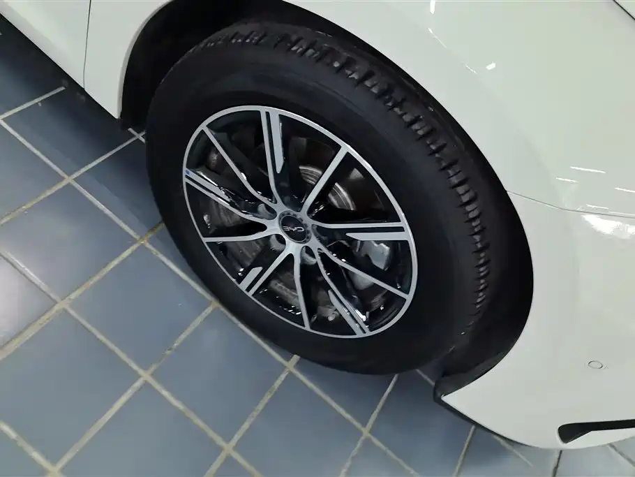 BYD Seal 06 New Energy 2025 DM-i Smart Drive Edition 120KM Luxury фото 6