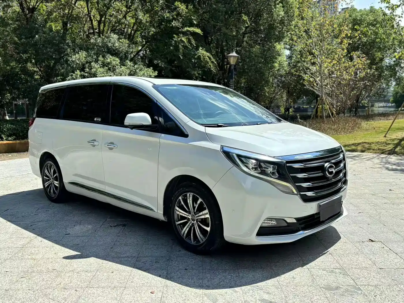 GAC Trumpchi Trumpchi M8 2018 320T Flagship Edition фото 2
