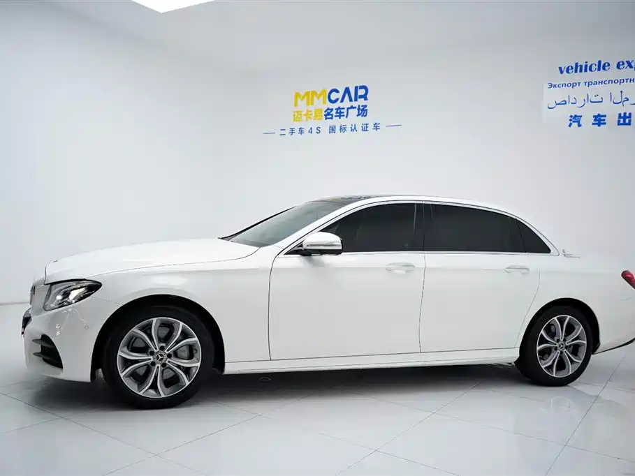 Mercedes-Benz E-Class 2020 E 300 L Sport Luxury Model фото 4
