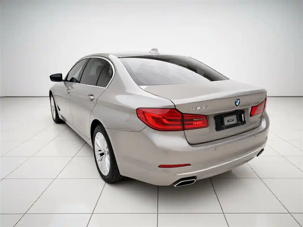 BMW 5 Series 2019 525Li Luxury Package фото 23