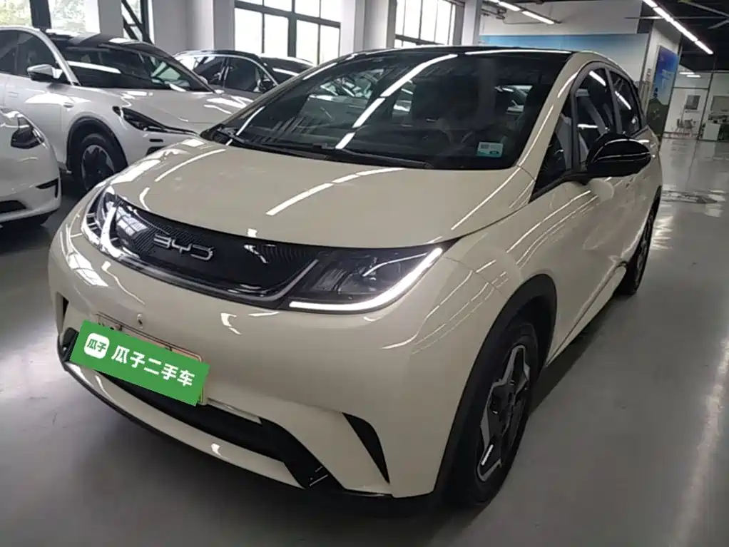 BYD Dolphin 2021 Model 405km Fashion Edition