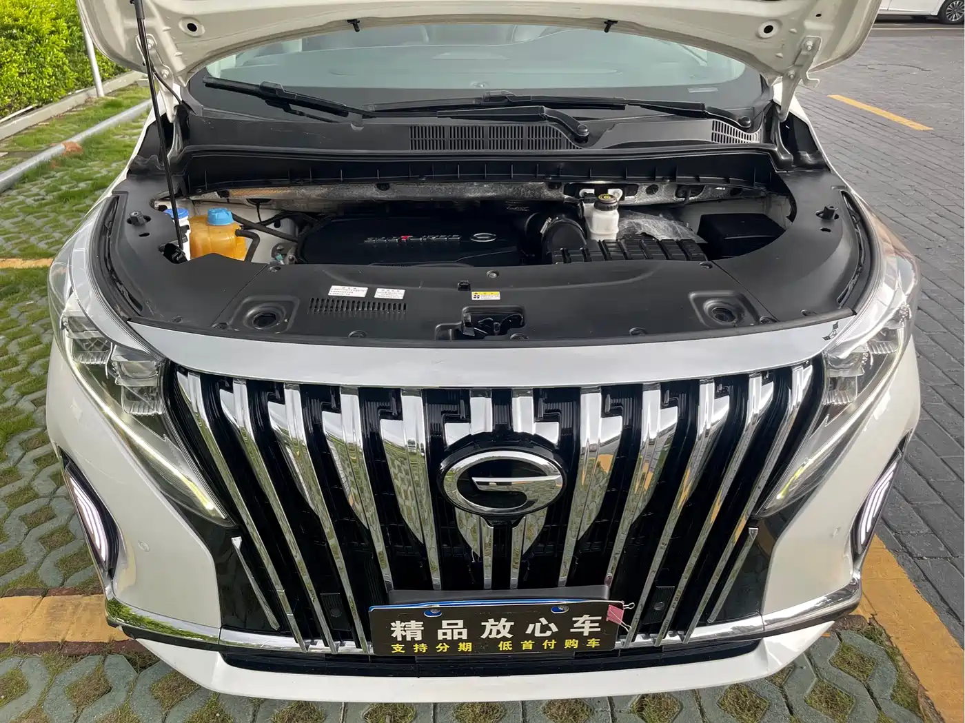GAC Trumpchi Trumpchi M8 2021 Leading Show Series 390T Prestige Edition фото 21