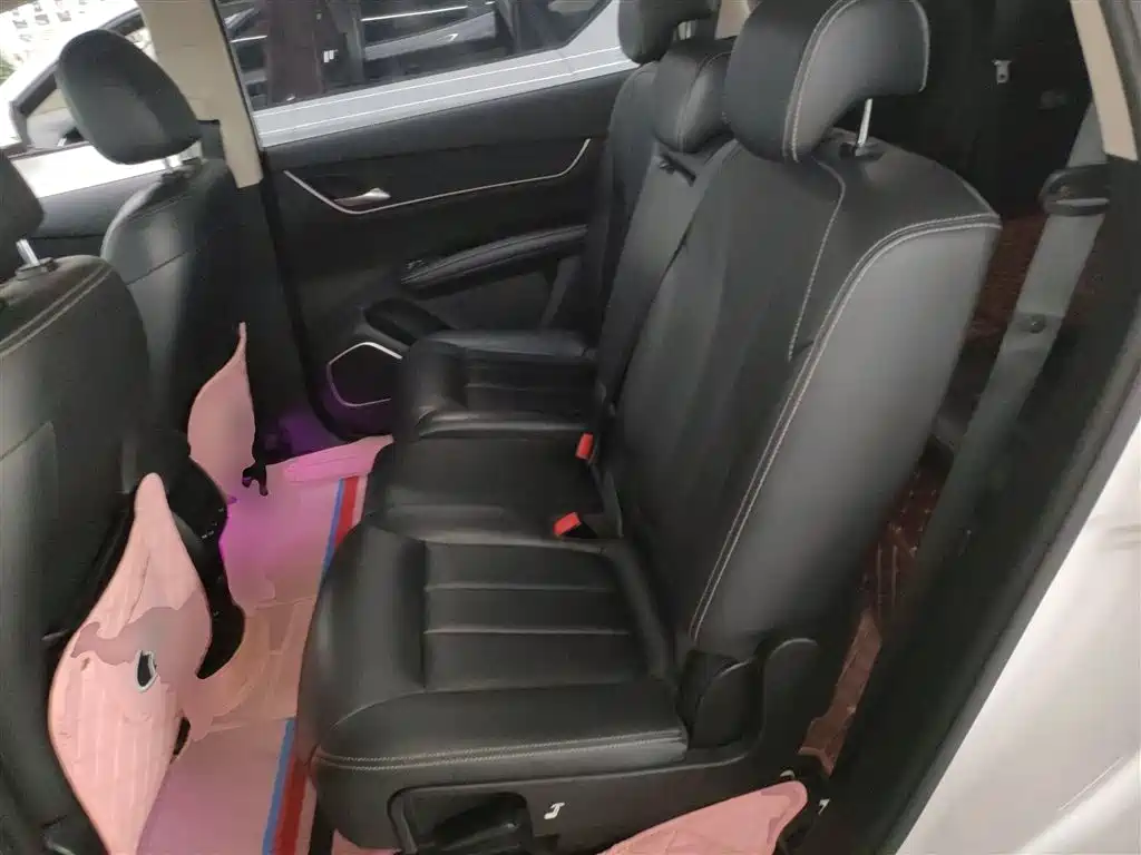 BYD Song MAX 2019 1.5T Auto Smart Connected Sunroof 7-seater China VI фото 13