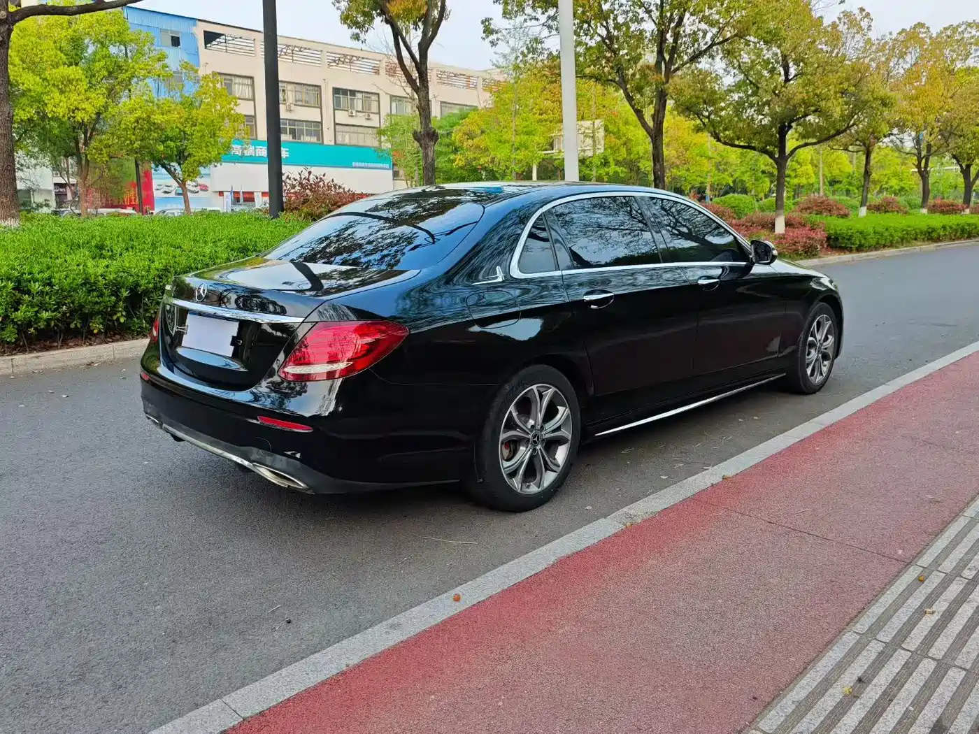 Mercedes-Benz E-Class 2020 E 300 L Sport Luxury Model фото 3