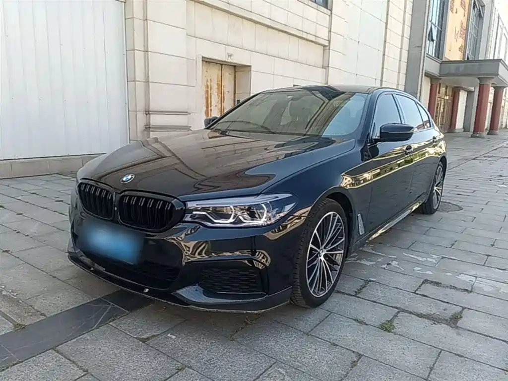 BMW 5 Series 2020 530Li Leading M Sport Package
