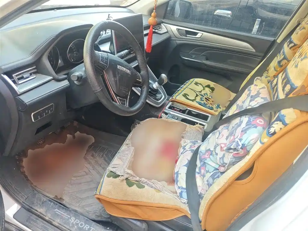 Haval M6 2021 PLUS 1.5T Manual Luxury Smart Connect фото 12
