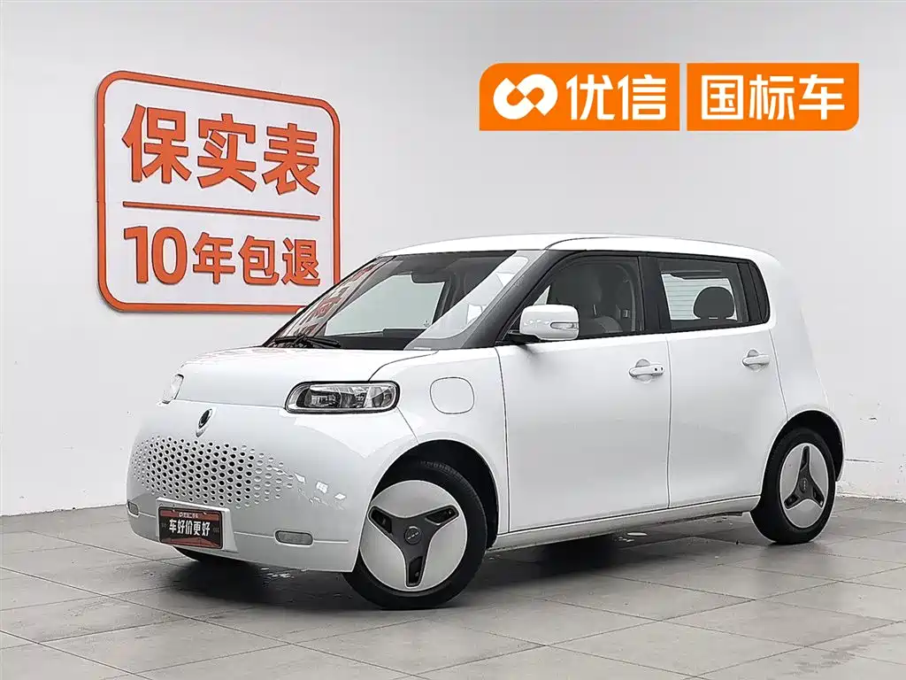 Ora White Cat 2020 360km Luxury Model