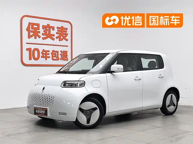 Ora White Cat 2020 360km Luxury Model