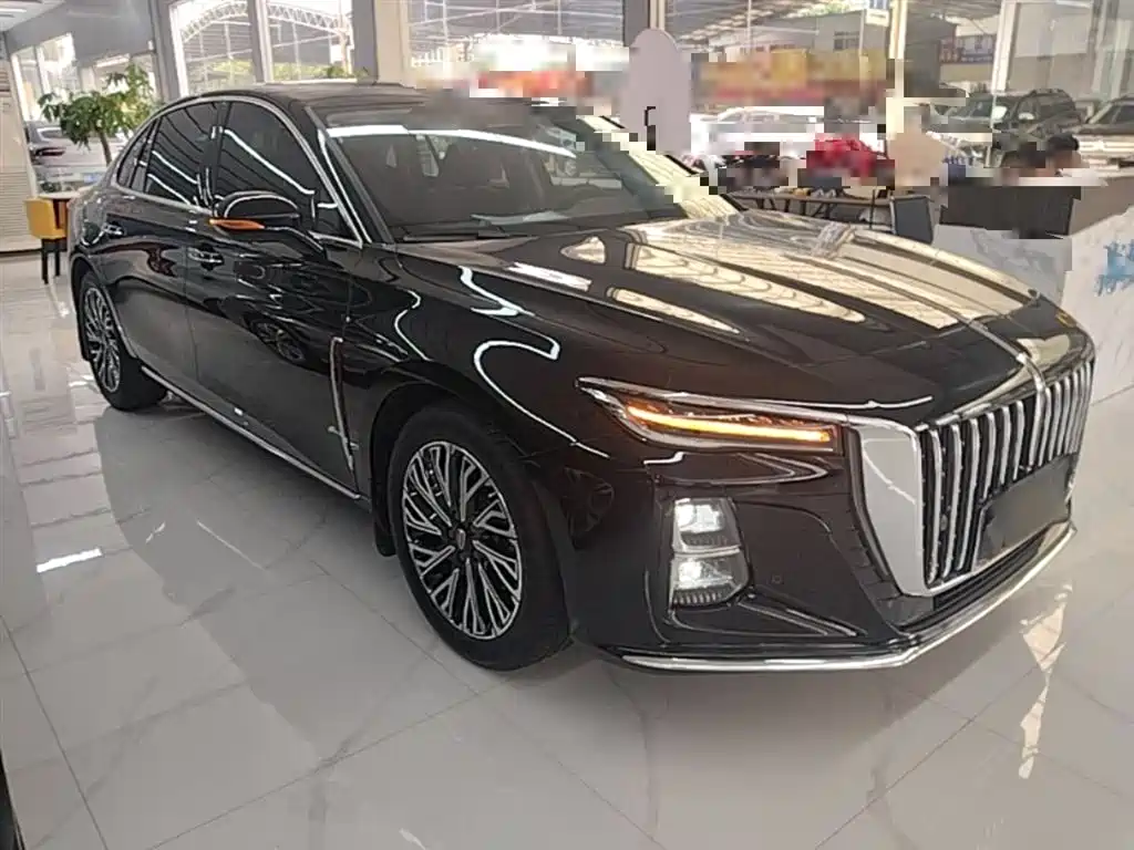 Hongqi H5 2024 2.0T Automatic Smart Connect Flag Smooth Edition фото 4