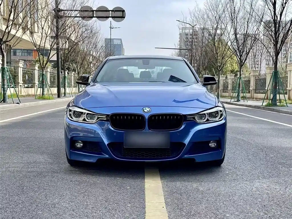 BMW 3 Series 2017 320Li M Sport фото 20