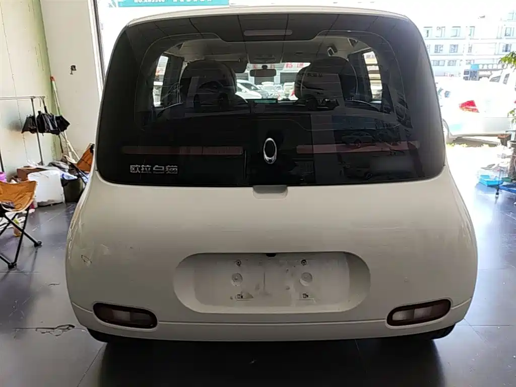 Ora White Cat 2021 2020 305km Luxury
