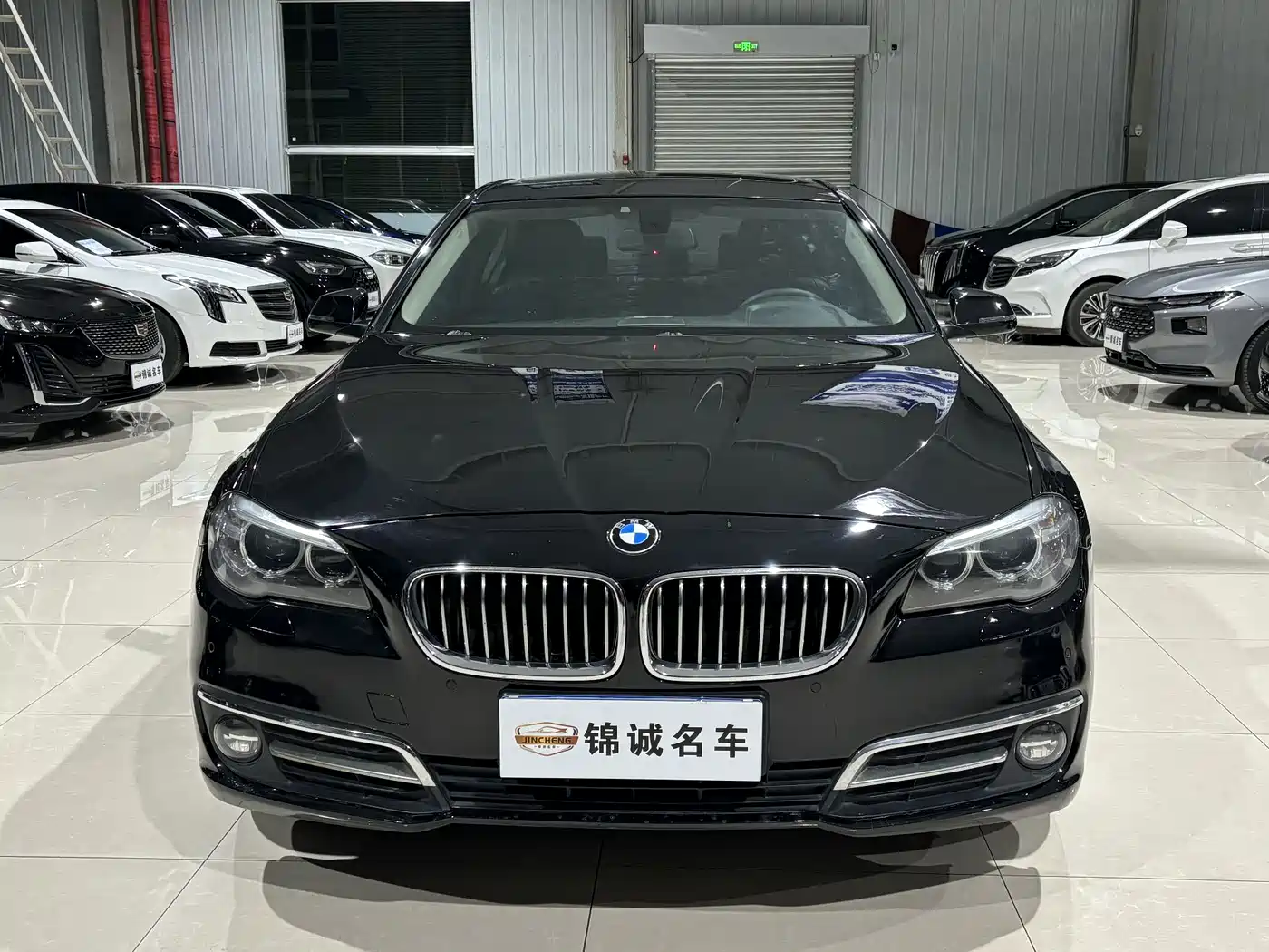 BMW 5 Series 2014 520Li Elegance фото 2
