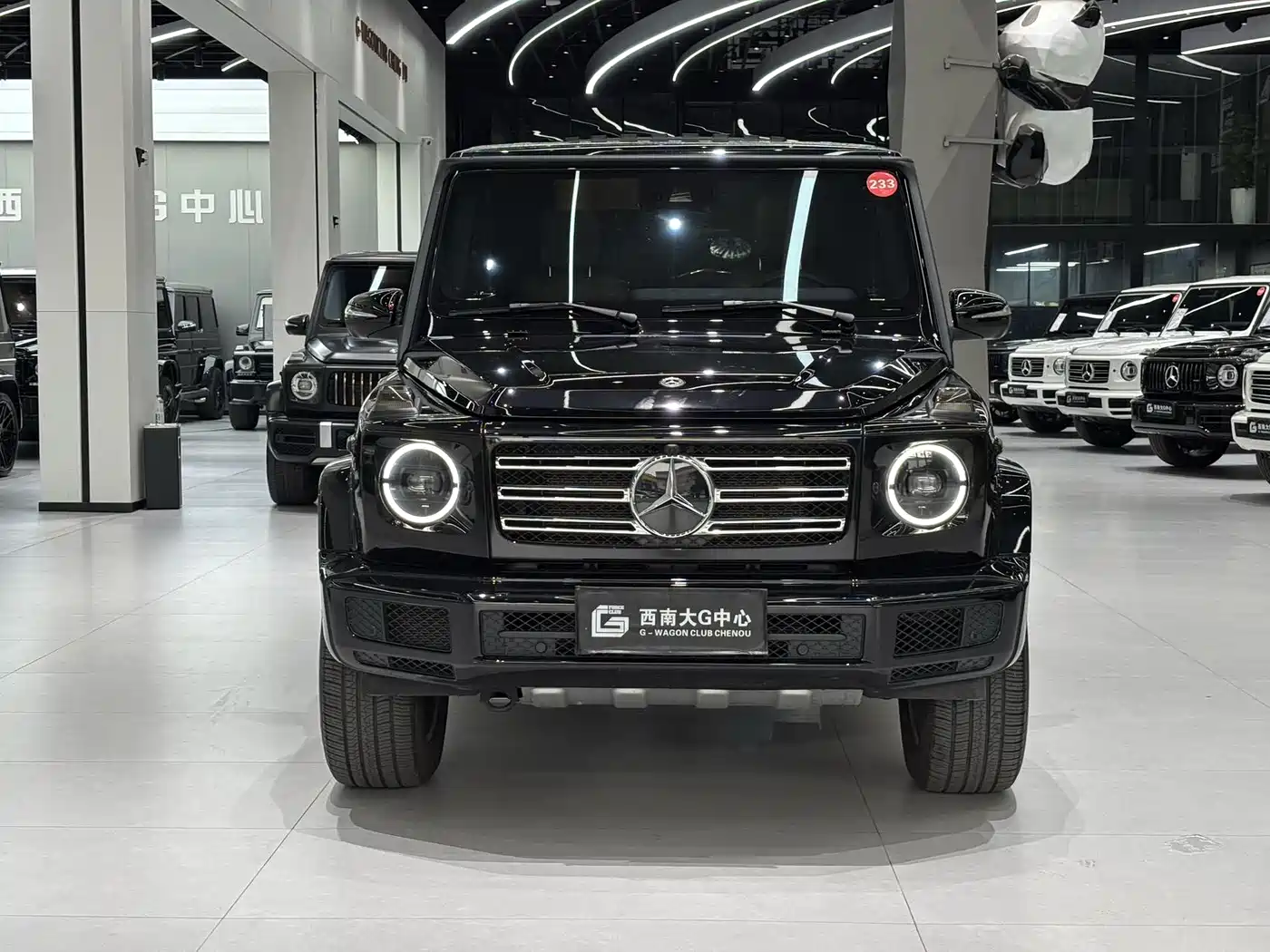 MERCEDES-BENZ G-CLASS