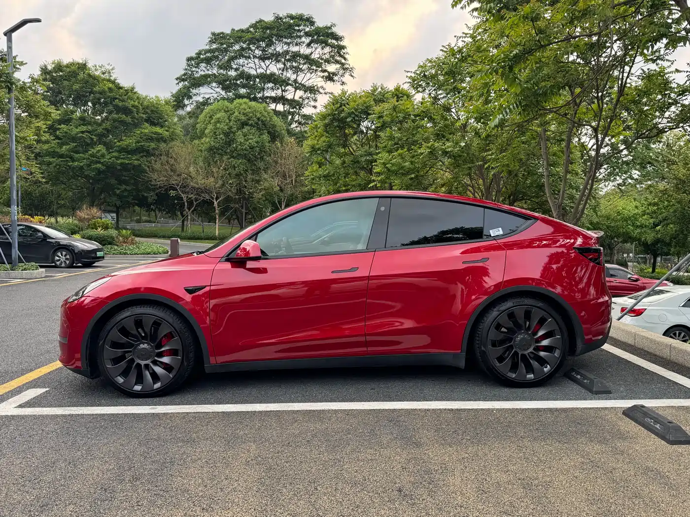 TESLA MODEL Y