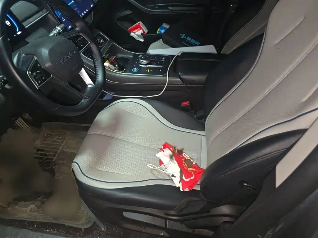 BYD Destroyer 05 2024 Glory Edition DM-i 55KM Luxury фото 8