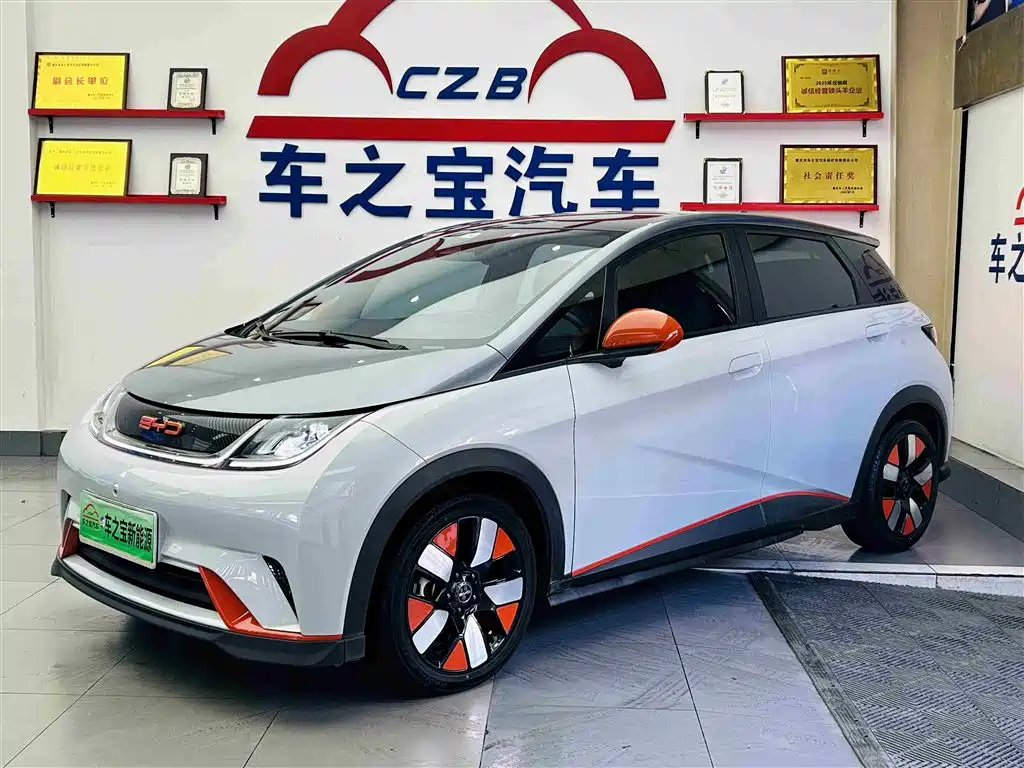 BYD Dolphin 2021 401km Knight Edition