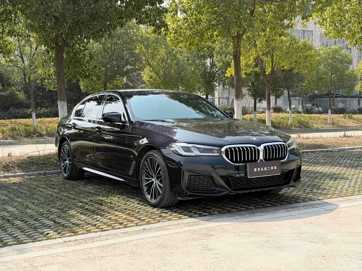 BMW 5 SERIES