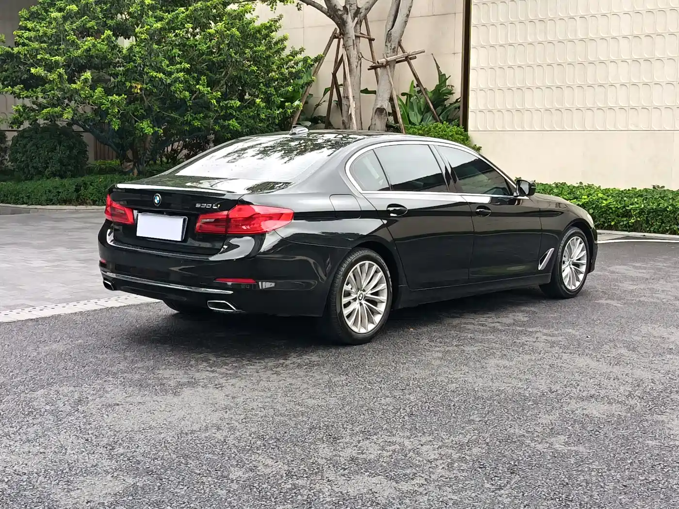 BMW 5 Series 2019 530Li Leading Luxury Package фото 4