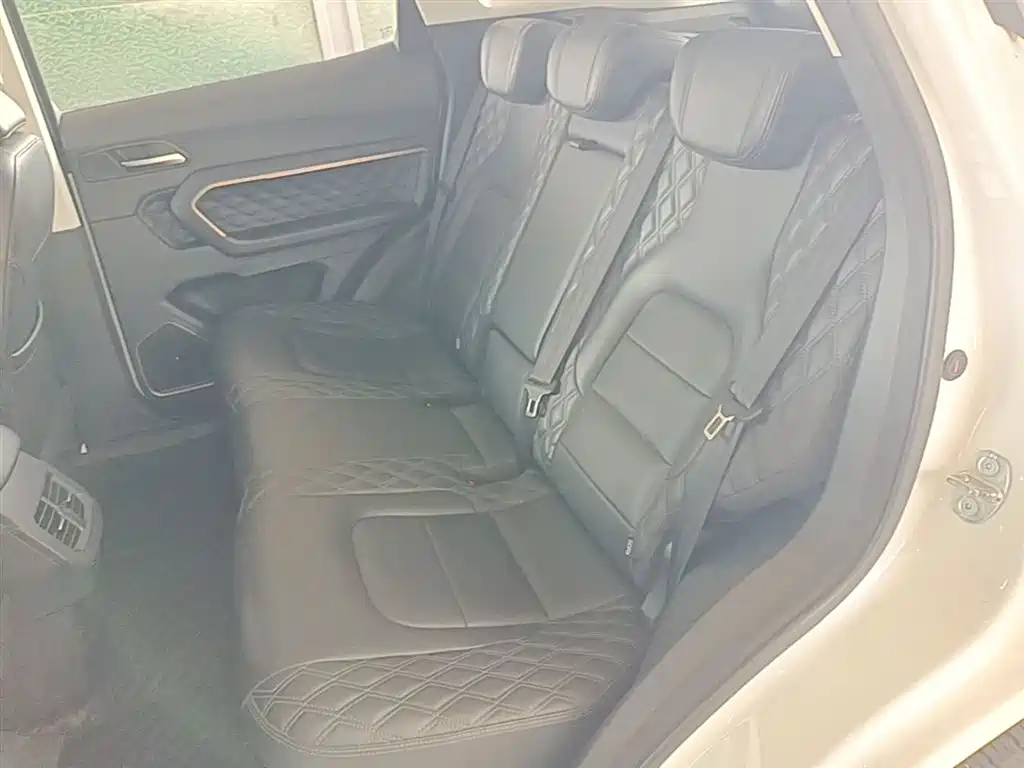 Haval H6 2020 1.5GDIT Automatic Platinum Luxury Edition фото 17