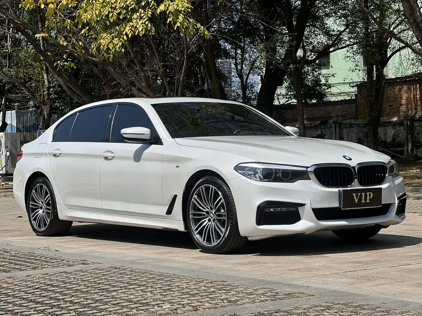 BMW 5 Series 2019 530Li Leading M Sport Package фото 3
