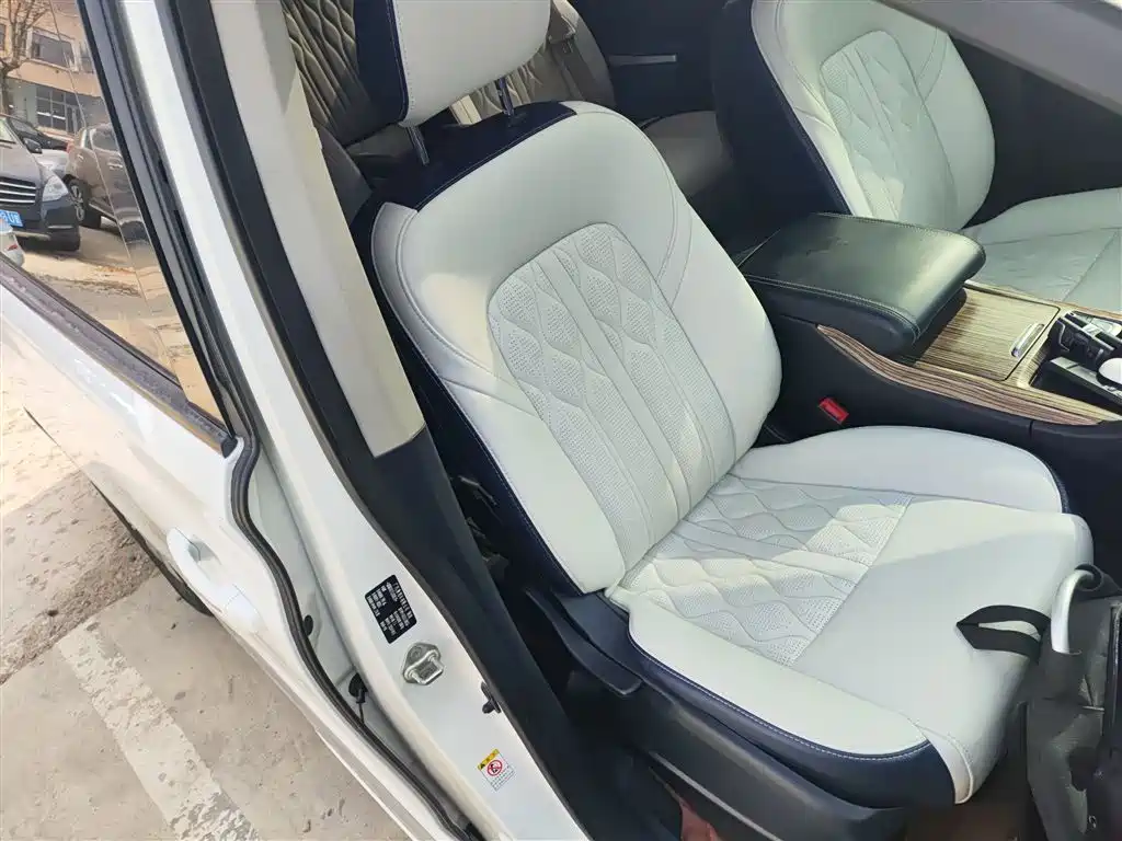 GAC Trumpchi Trumpchi M8 2020 Pilot 390T Premium Edition фото 24
