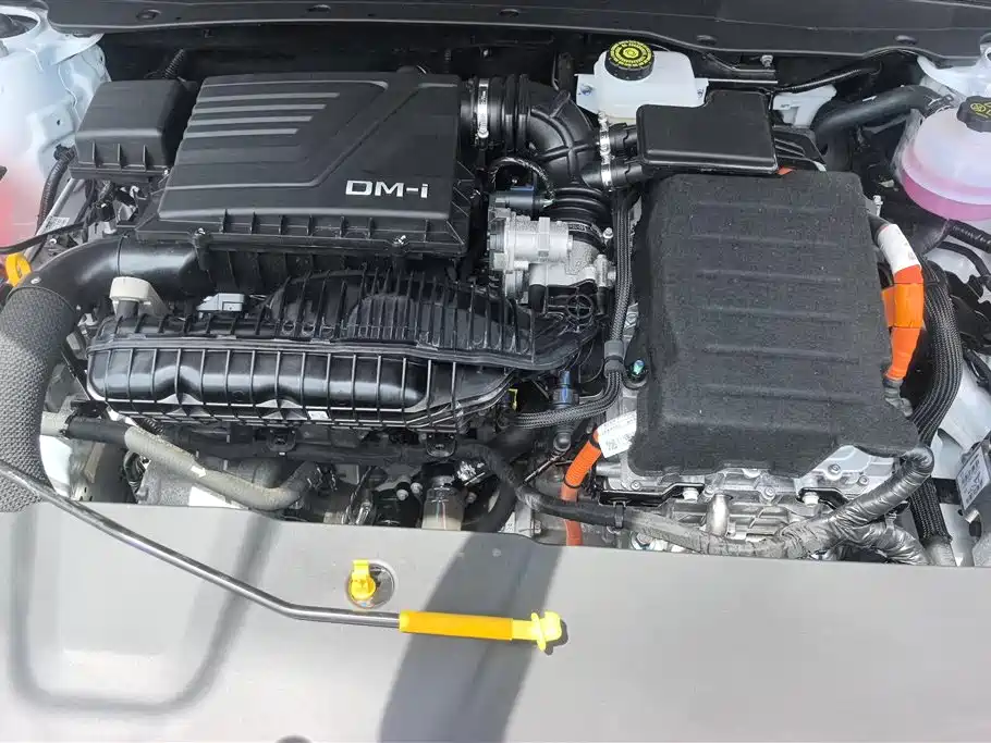 BYD Qin PLUS 2024 Glory Edition DM-i 55KM Leading фото 10