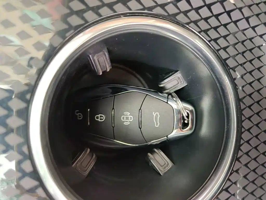 Hongqi HS3 PHEV 2025 2024 PHEV 115km Power Edition