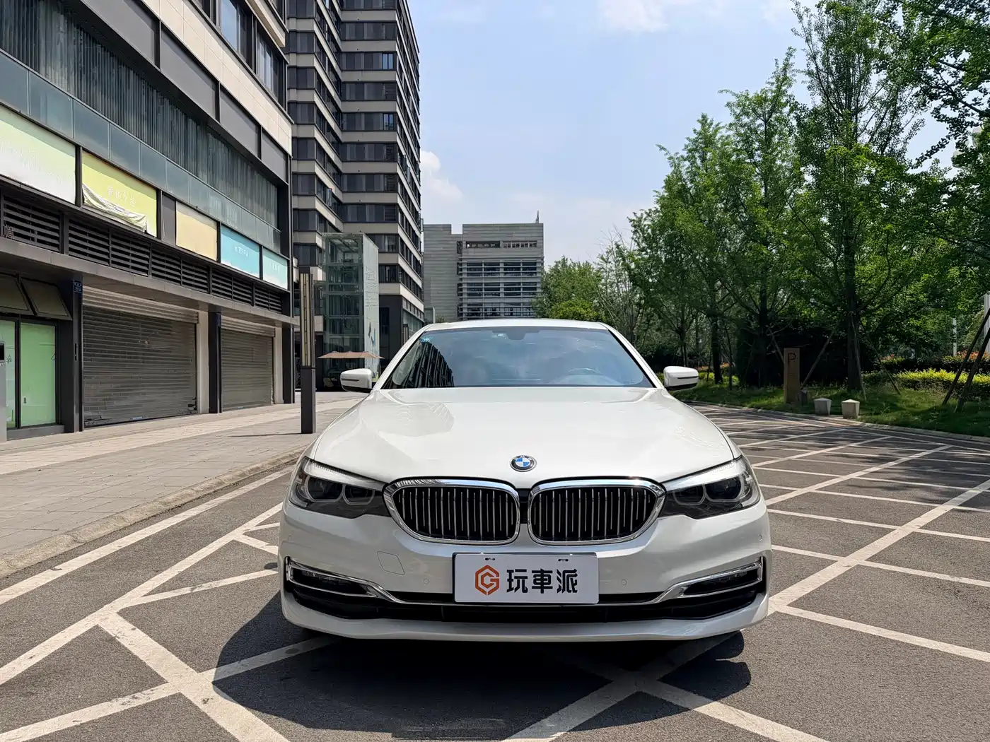 BMW 5 Series 2019 530Li xDrive Luxury Package фото 2