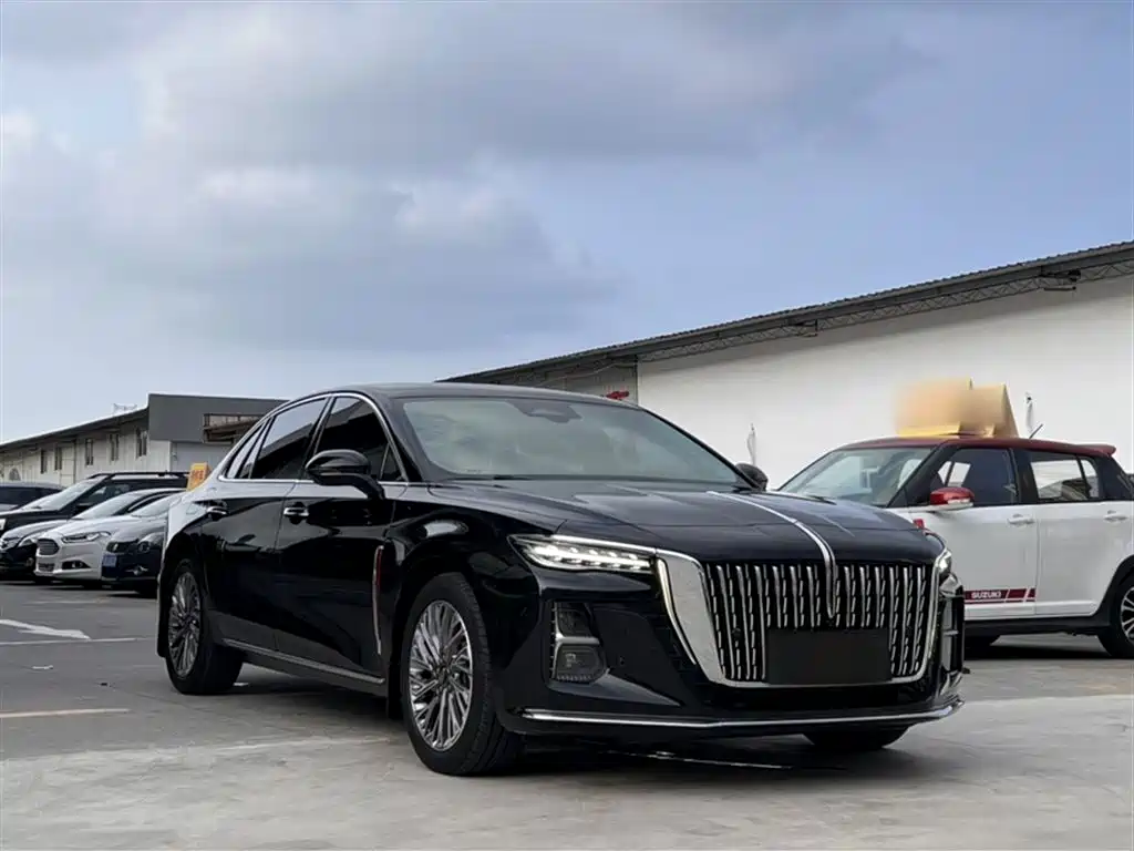 Hongqi H5 2023 2.0T Auto Smart Connect Flag Comfort фото 3