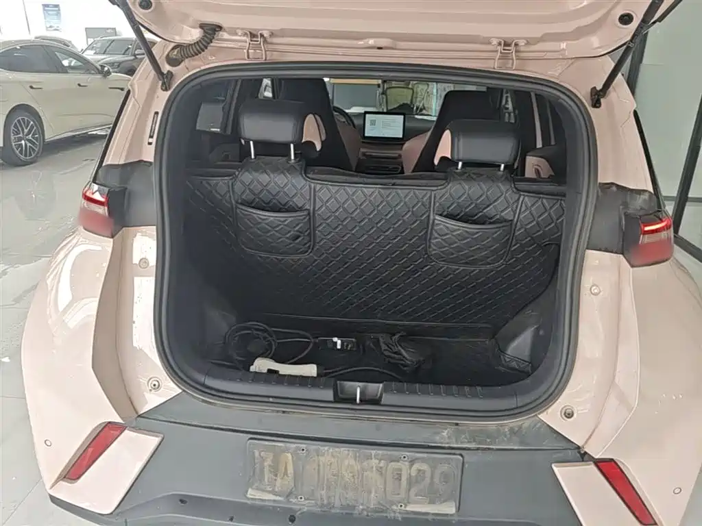 BYD Seagull 2024 Glory Edition 305km Freedom Edition фото 19