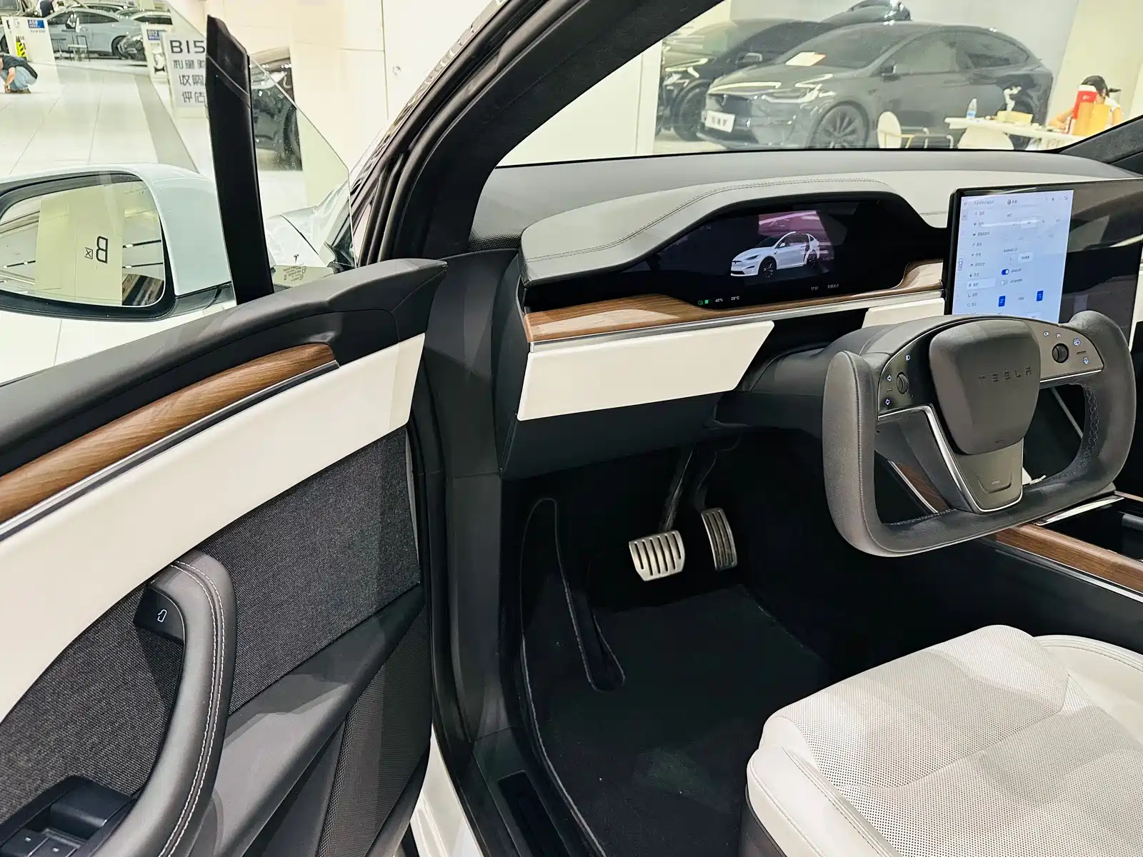 Фото 10 - Tesla Model X