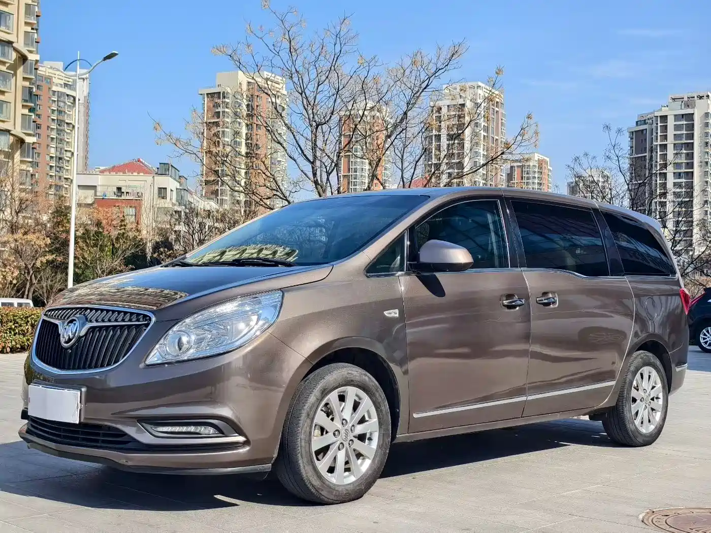 Buick GL8 2017 25S Luxury China V