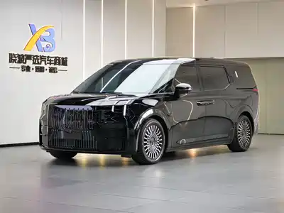 Zeekr 009