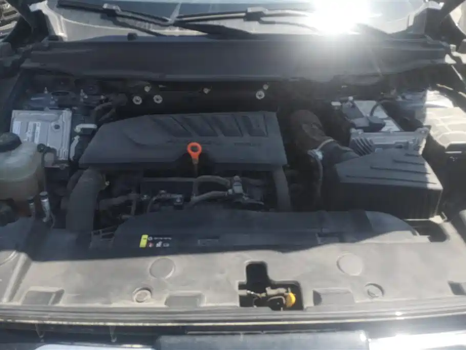 Haval Big Dog 2021 1.5T DCT 2WD Border Collie Edition фото 10