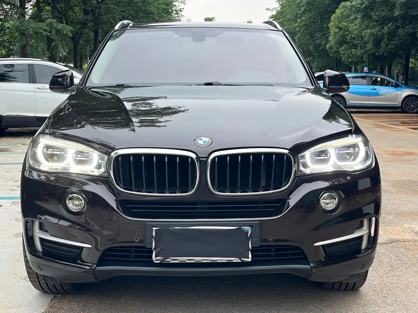 BMW X5 (Import) 2017 xDrive35i Leading Edition фото 2