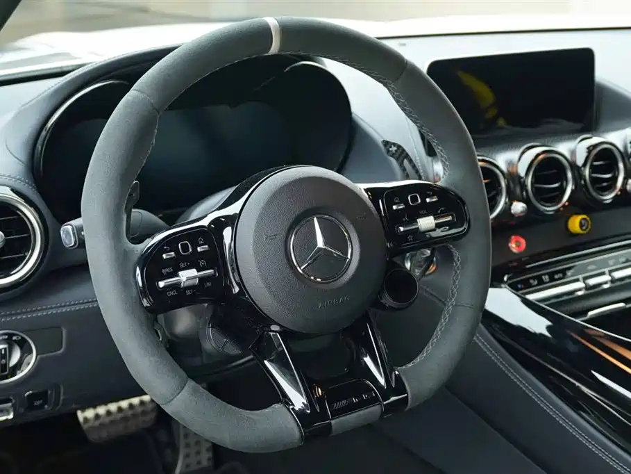 Mercedes-Benz AMG GT 2019 AMG GT R PRO фото 24