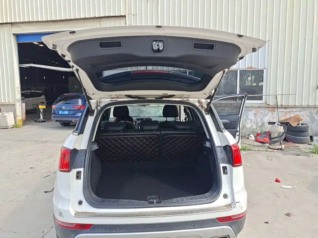 Haval H6 Coupe 2015 2015 Blue Label 2.0T 2WD Premium
