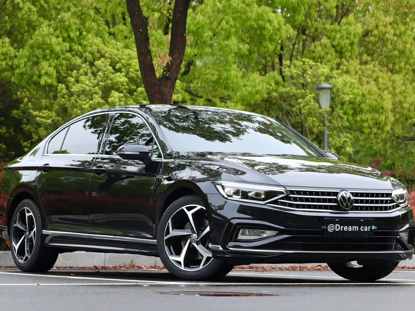 Volkswagen Magotan 2024 2 Million Units Public Sharing Edition 330TSI DSG Luxury фото 3