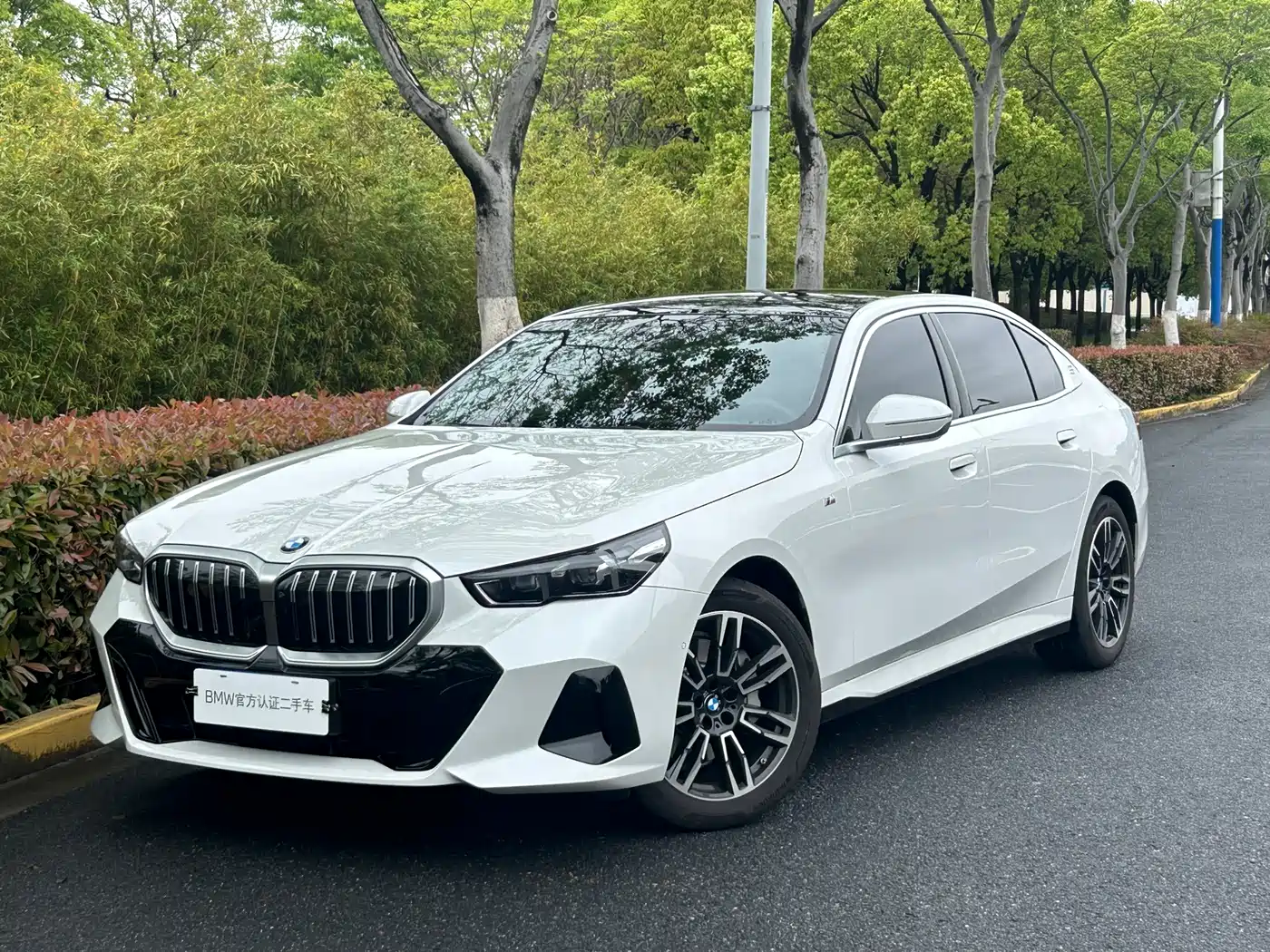 BMW 5 Series 2025 530Li Leading M Sport Package