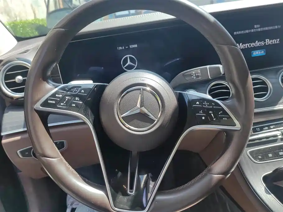 Mercedes-Benz E-Class 2023 E 300 L Luxury фото 15