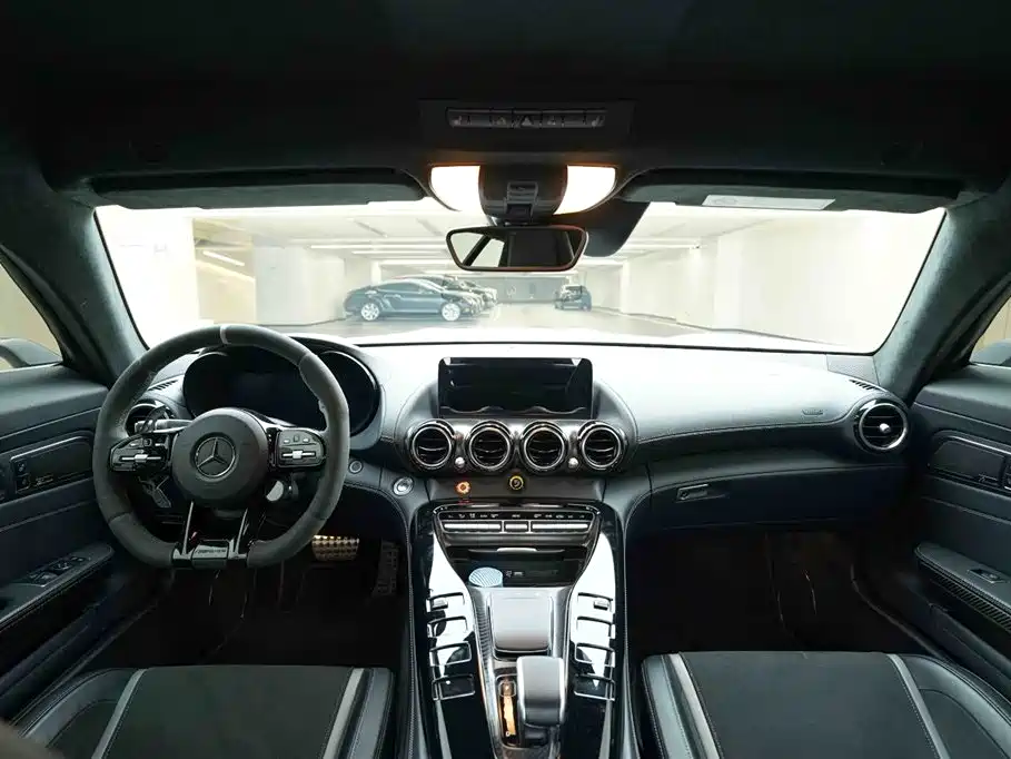 Mercedes-Benz AMG GT 2019 AMG GT R PRO фото 26