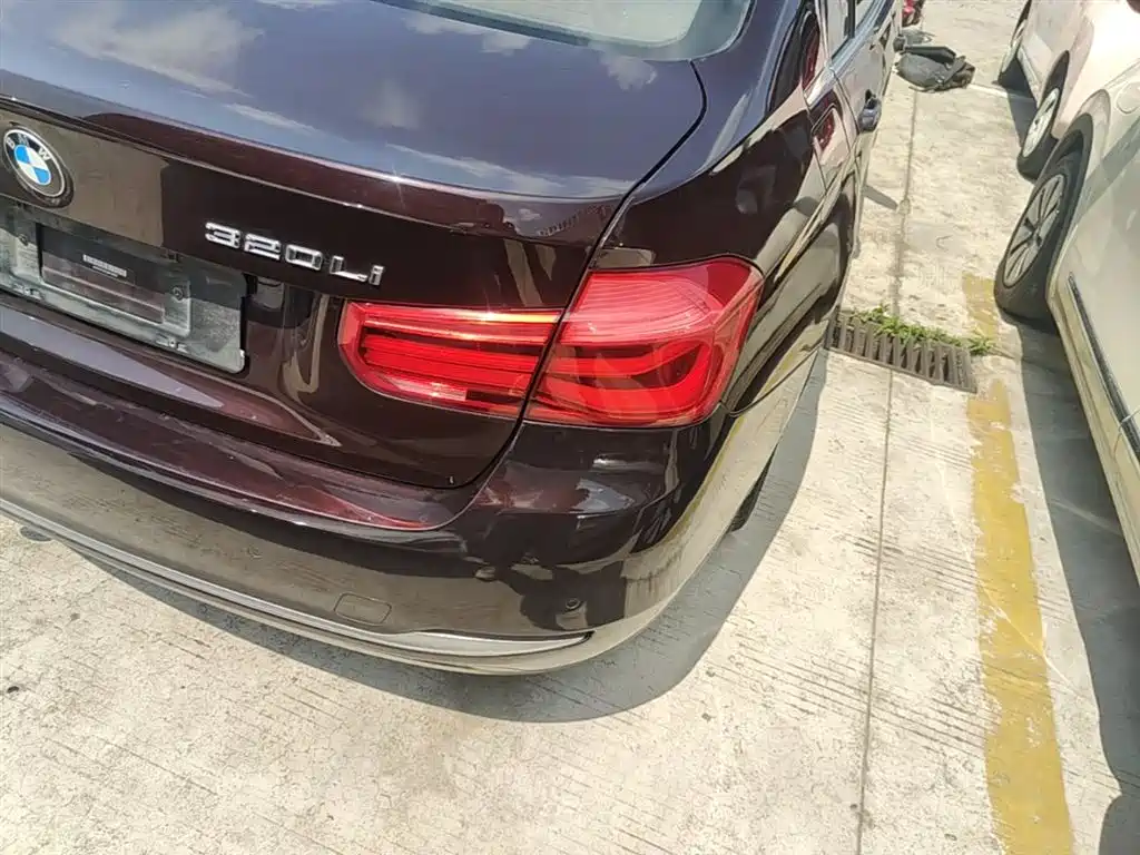 BMW 3 Series 2016 320Li Progressive фото 8