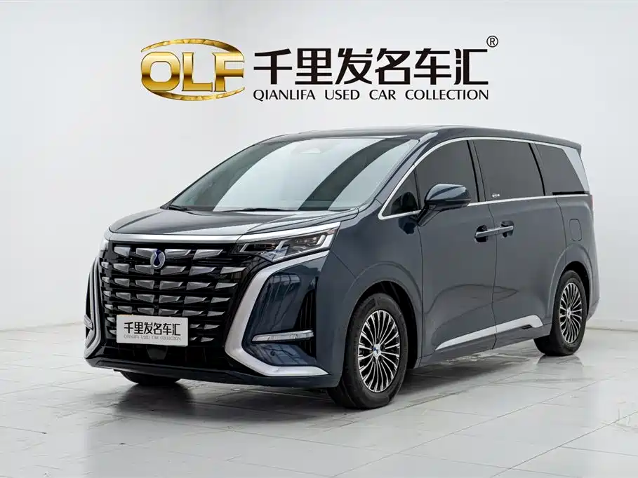 Denza D9 2022 DM-i 970 All-Wheel Drive Honor Edition