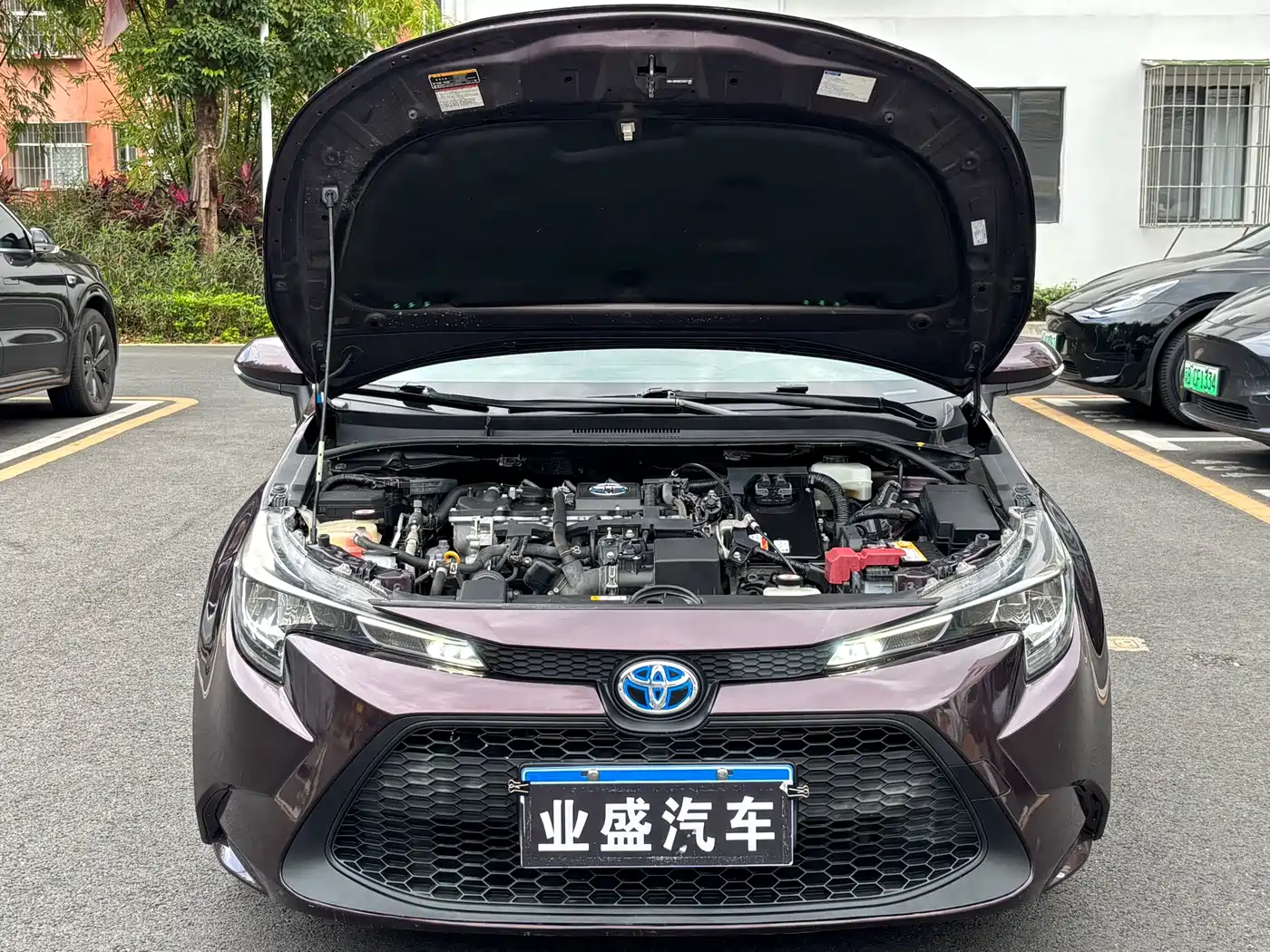 Toyota Levin 2019 Dual Engine 1.8H E-CVT Progressive Edition China V фото 16