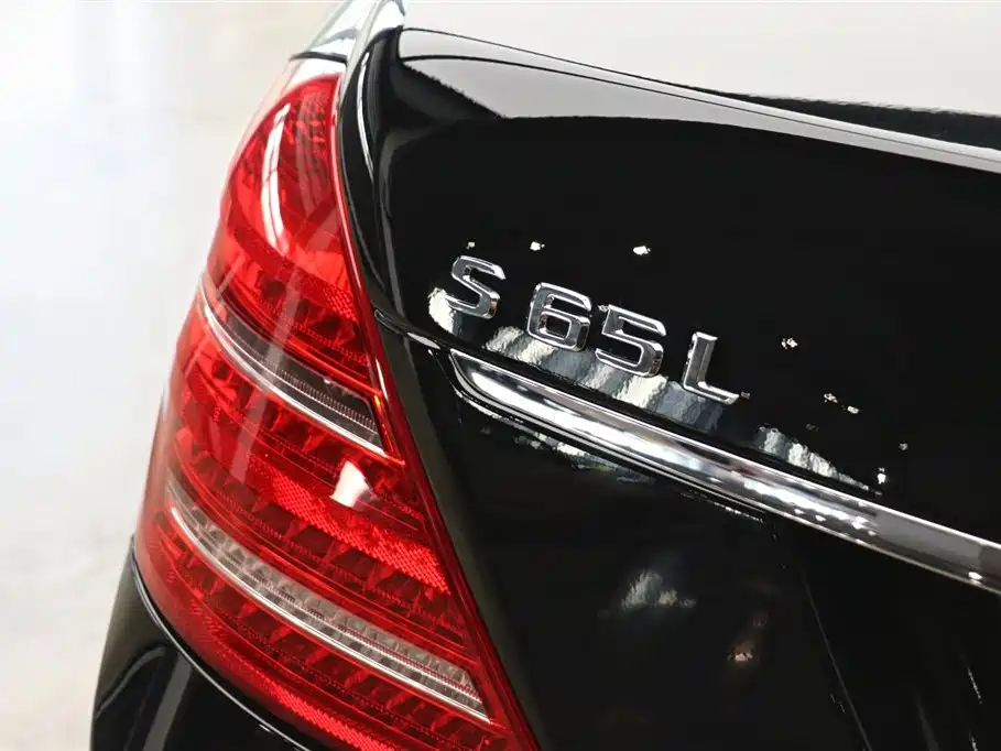 Mercedes-Benz S-Class AMG 2010 AMG S 65 фото 29