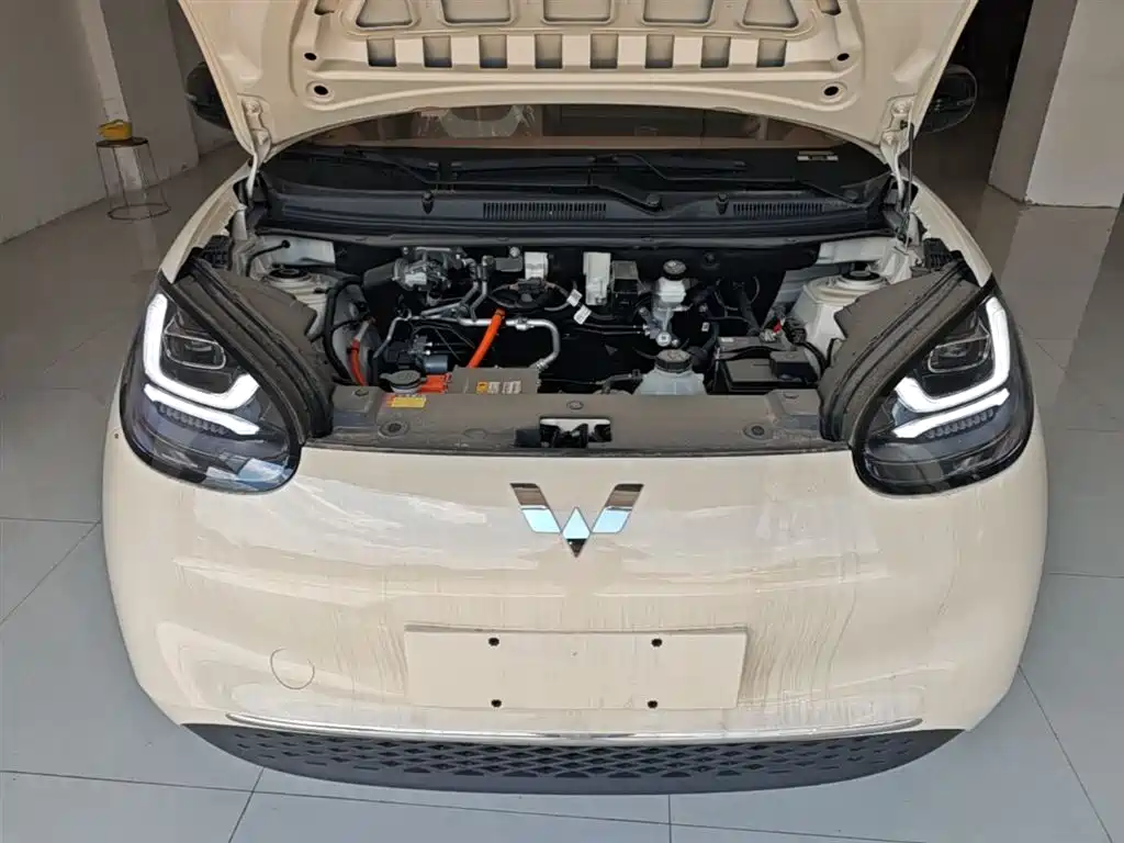 Wuling Motors Wuling Bingo 2026 2025 Model 333km Joy Edition